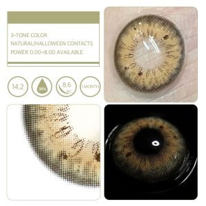 Unibling Iffy Bronze (1-Month)