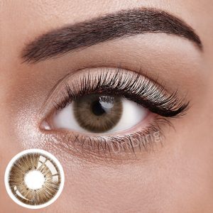 Unibling New York III Brown (1-Year)