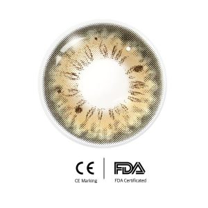 Unibling Iffy Bronze (1-Year)